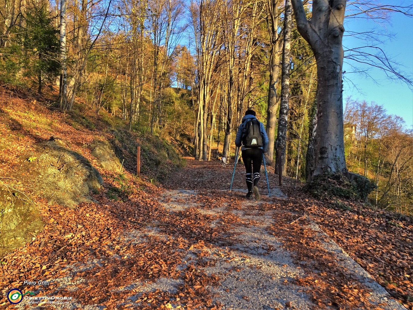 12 Salendo la stradetta agrosilvopastorale  colorata d'autunno.JPG